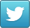 Twitter Icon Logo